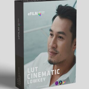 FREE - Lut Lowkey Cinematic